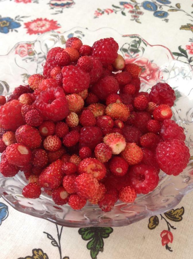 Il Nido Della Rondine Bed & Breakfast Leivi Dış mekan fotoğraf