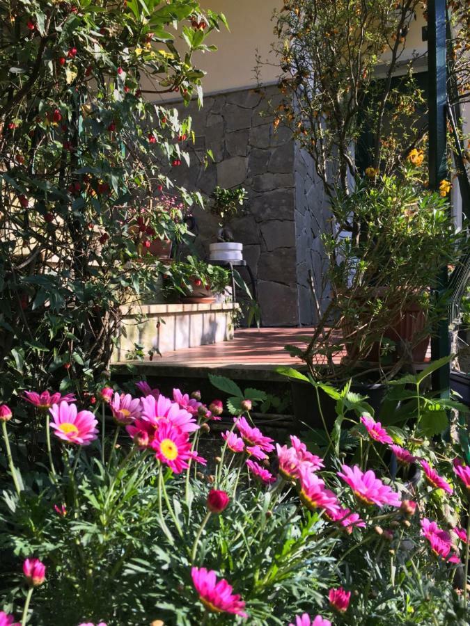Il Nido Della Rondine Bed & Breakfast Leivi Dış mekan fotoğraf