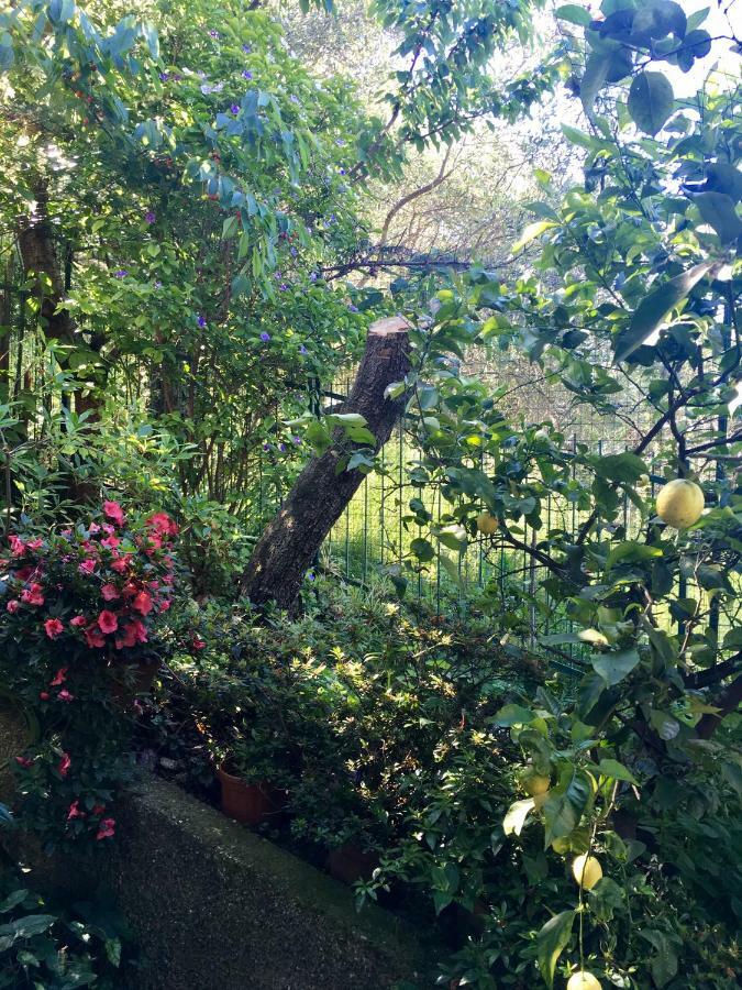 Il Nido Della Rondine Bed & Breakfast Leivi Dış mekan fotoğraf