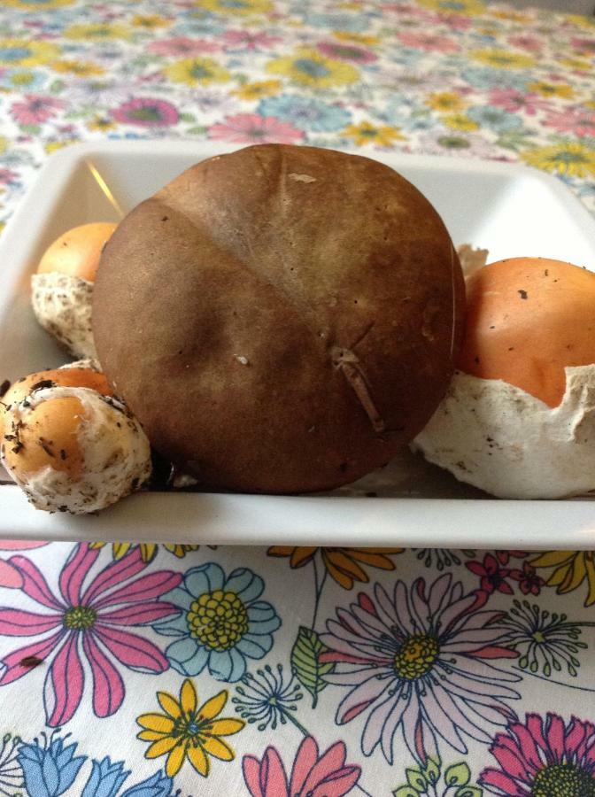 Il Nido Della Rondine Bed & Breakfast Leivi Dış mekan fotoğraf